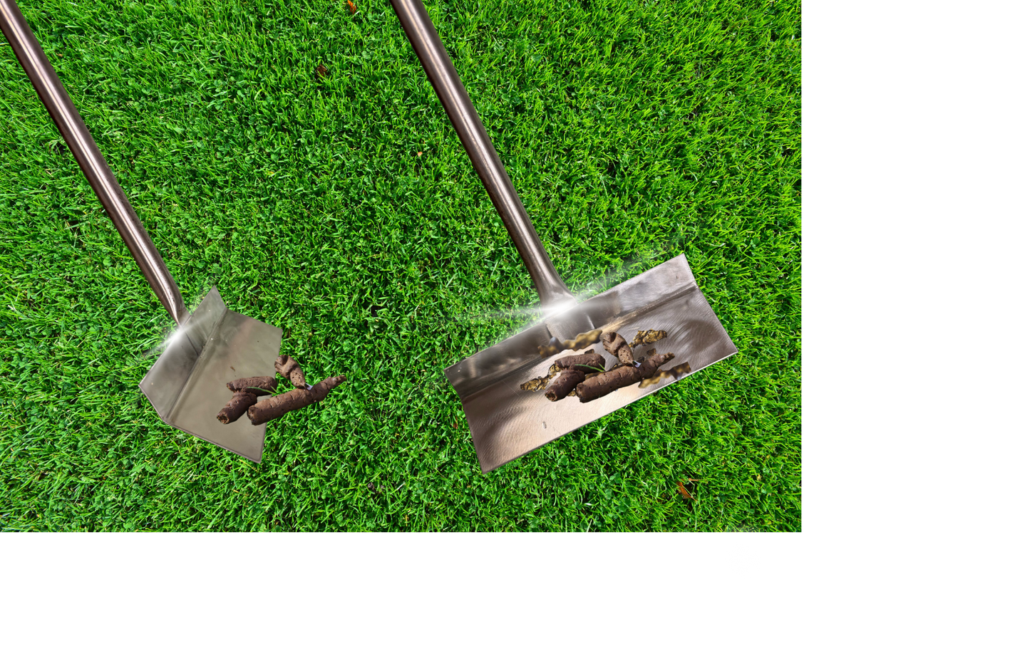 Commercial Dog Waste Scraper - PRE-ORDER ONLY